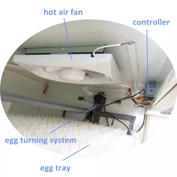 Factory Egg Incubator More Than 2000 Eggs Incubator Hatching Machine Incubator Hatching Brooder