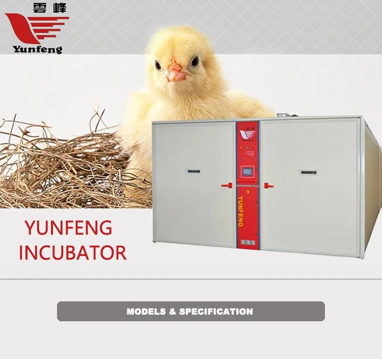 12096 Capacity Duck Egg Incubator for Poultry Use