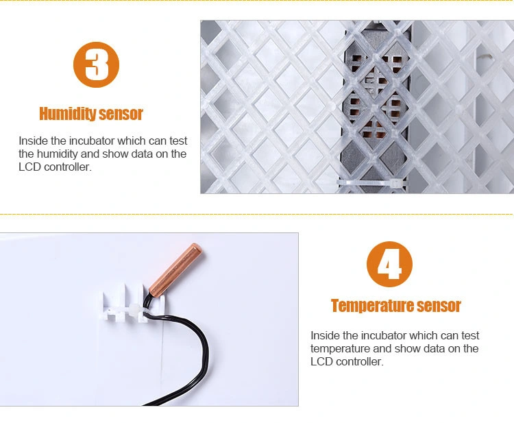 Newest Model 56 Eggs Incubator with LED Light Egg Tester