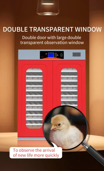 China Red New Hhd Incubator Chicken Brooder Más vendido en Dubai