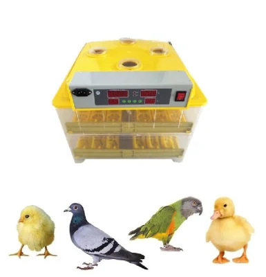 Mini incubadora automática de 112 huevos aprobada por la CE para huevos de gallina