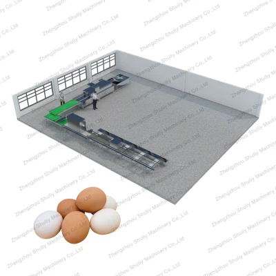 Precio de fábrica industrial 10000PCS Máquina automática de lavado, limpieza y clasificación de huevos