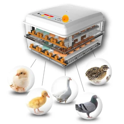 Incubadora de huevos de 220V, incubadora de pájaros, codornices, pollitos, incubadora de aves de corral, Turner, herramientas automáticas de incubación de granja EU/Us