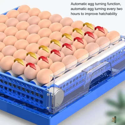 Mini máquina automática para incubar pollos, patos y palomas, huevos de codorniz, incubadora de huevos 256