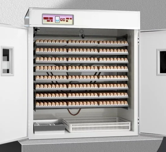 Equipo avícola Mini incubadora de huevos pequeños Incubadora de pequeña capacidad