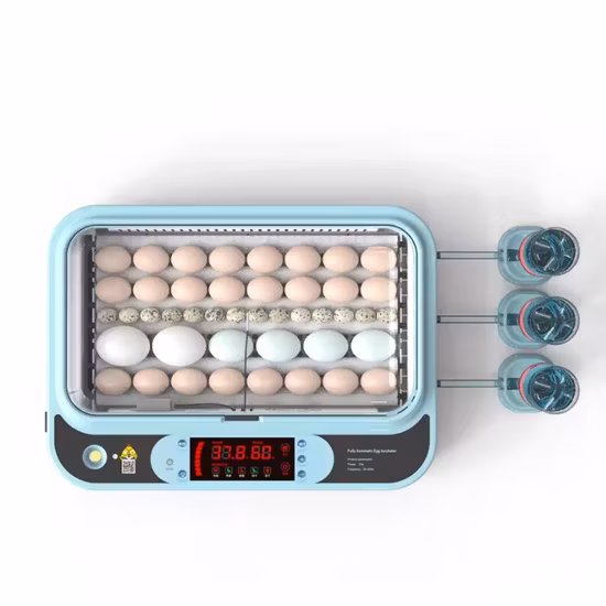 Equipo avícola Mini incubadora de huevos pequeños Incubadora de pequeña capacidad