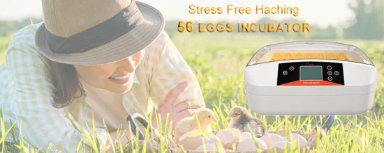 Yz-56s Newest Mini Incubator Egg 56 con luz LED