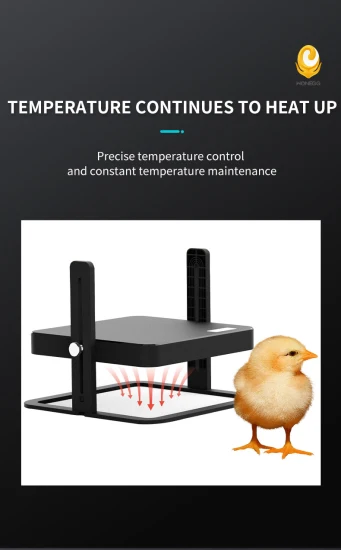 Wonegg New Bridge Brooder para 15 pollitos Criadora de pollos