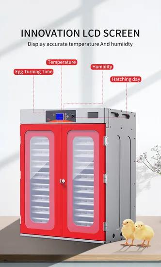China Red New Hhd Incubator Chicken Brooder Más vendido en Dubai